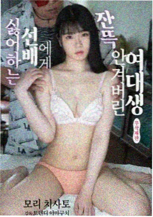 欧美剧合租条例剧集封面